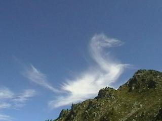 Drache_am_Dent