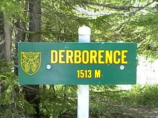Derborence