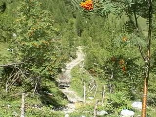 Wanderung_8