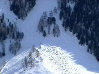 combatzeline-siviez_1