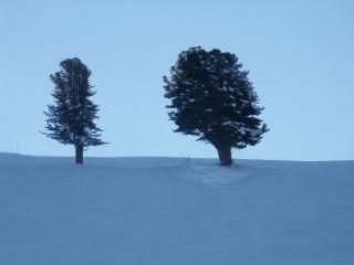 Aussicht_Nendaz_8