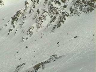 gentianes-tortin_1
