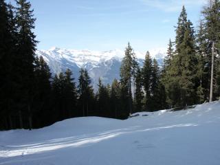 Waldabfahrt-West_13