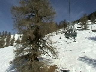 pisten_prarion_laerchen_2